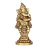 Lord Ganapathi with Naadaswara Idol