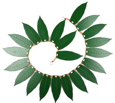 21 mango leaf Thorana