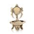 Shanka Deepam