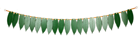 21 mango leaf Thorana